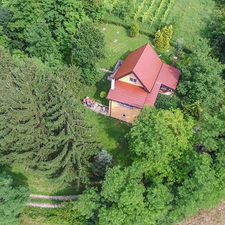 Villa Lorena Krapinske Toplice Kültér fotó