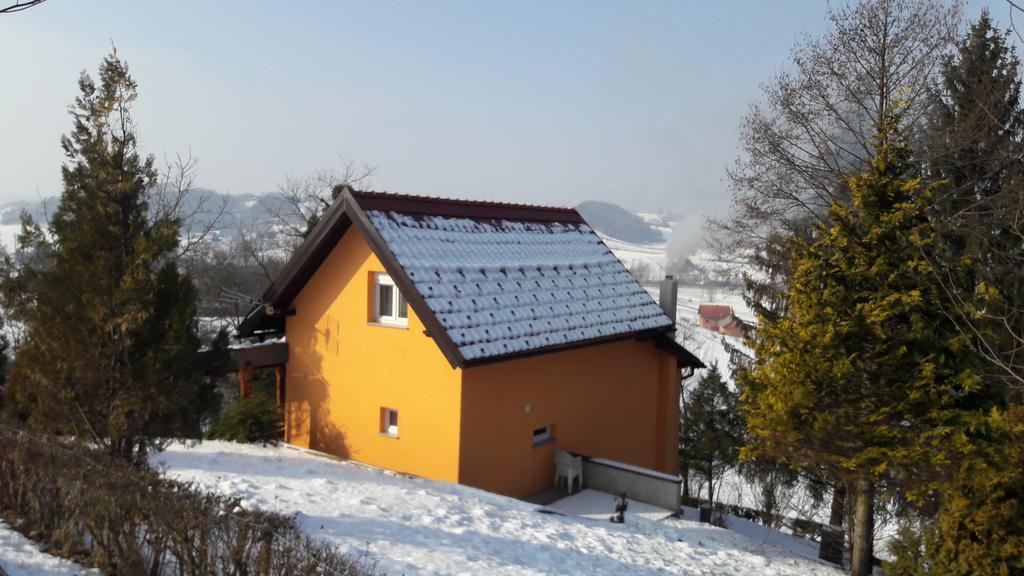 Villa Lorena Krapinske Toplice Kültér fotó